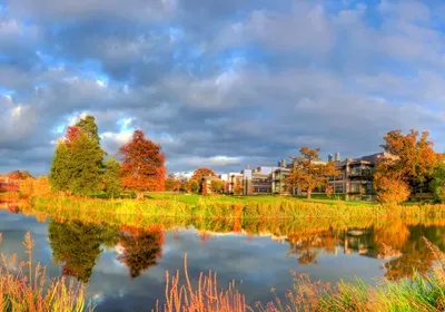 Wellcome sanger institute genome campus closing animal mouse facility laboratory